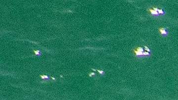 Tres tiburones atacaron al niño de 8 años en las Bahamas.