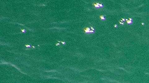 Tres tiburones atacaron al niño de 8 años en las Bahamas.