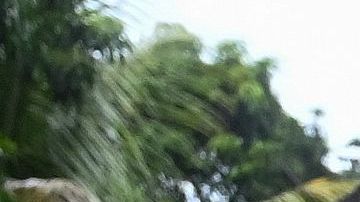 HONDURAS-VIOLENCE-GANGS