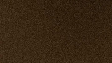 Georgia Lindsay Graham Donald Trump Elecciones 2020