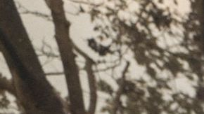 US-ENVIRONMENT-CALIFORNIA-FIRE-WEATHER-DROUGHT