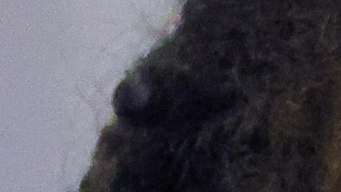 Audiencia de Brittney Griner durante su juicio por cargos de contrabando de drogas, en Khimki, en las afueras de Moscú.