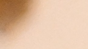 Joe Biden Apuñalamiento Salman Rushdie Nueva York