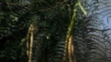 MEXICO-MINING-ACCIDENT