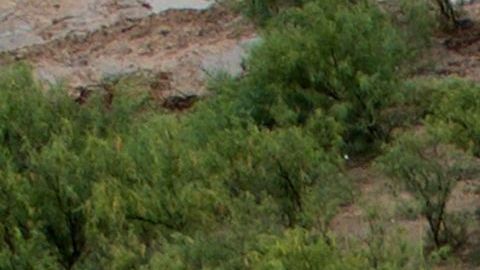 MEXICO-MINING-ACCIDENT