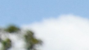 Joe Biden Donald Trump Mar-a-Lago