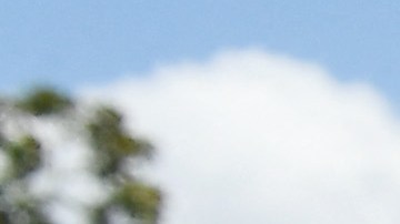 Joe Biden Donald Trump Mar-a-Lago