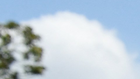 Joe Biden Donald Trump Mar-a-Lago