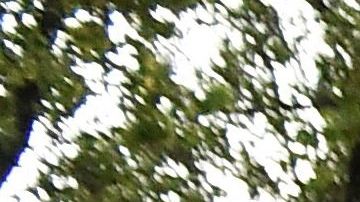 MEXICO-CRIME-AYOTZINAPA-STUDENTS-MARCH