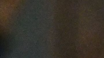 Nicolo Barella celebra su gol ante Cremonese.