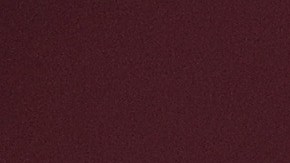 Pfizer BioNtech Vacuna Covid-19