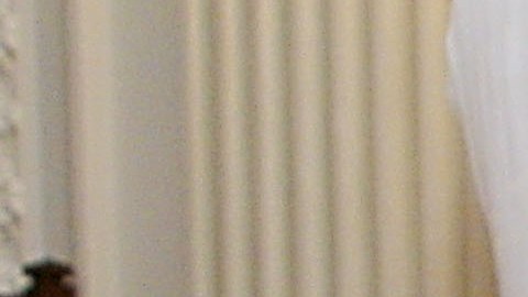 White House Christmas Decorations