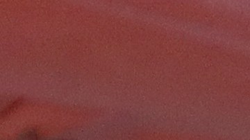 El actor Ben Affleck y Jennifer López habrían llegado en una lancha para celebrar su segunda boda en Georgia.