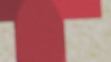 Natti Natasha y Raphy Pina