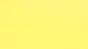 Spirit Airlines