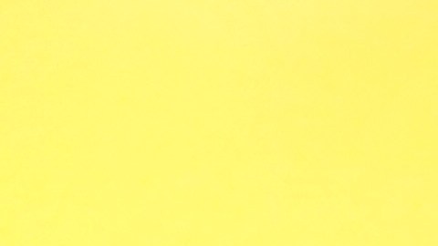 Spirit Airlines