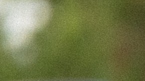 Pete Arredondo fue despedido tras una votación unánime.