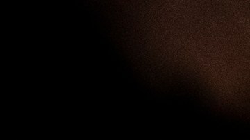 Smart & Safe inició una campaña para legalizar el consumo recreativo del cannabis en Florida.