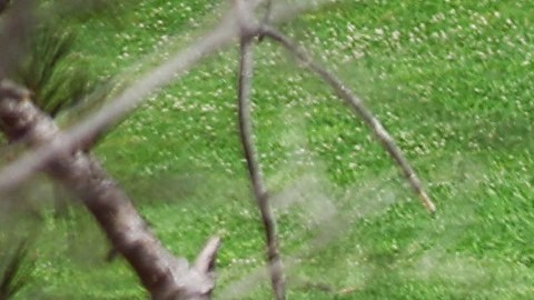 Griffith Park en Los Ángeles