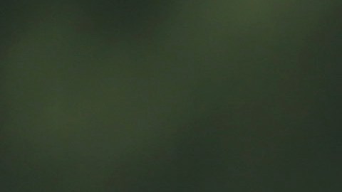 NFL: Jugador de Buffalo Bills acusado de participar en violación de una joven
