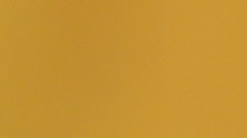 President Lopez Obrador Daily Briefing