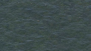 U.S. Coast Guard Intercepts Boat With Around 100 Immigrants Off The Florida Coast