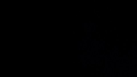 El FBI buscó documentos clasificados sobre armas nucleares en casa de Trump.