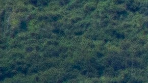 Un helicóptero militar taiwanés UH-60 black hawk despega durante un simulacro de fuego real.