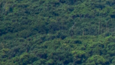 Un helicóptero militar taiwanés UH-60 black hawk despega durante un simulacro de fuego real.