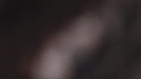Casemiro