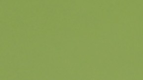 Carlo Ancelotti y Casemiro