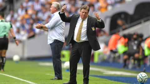 Miguel Herrera durante un encuentro de la Liga MX entre Monterrey y Tigres UANL.