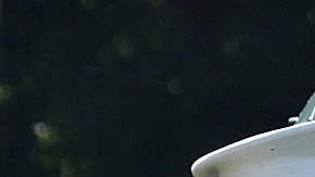 Biden cancela deudas estudiantiles para millones de personas