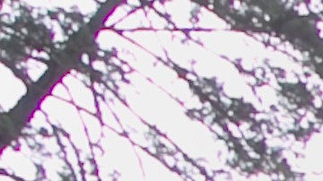 US Forest Service Considers Restricting Photography Within Federally Designated Wilderness Areas