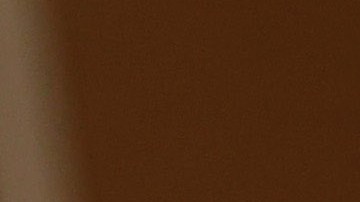 Restos óseos esqueléticos