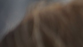 Ejército estadounidense