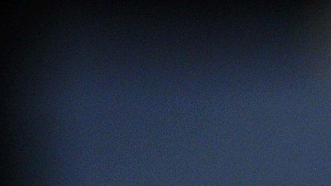 Fotos de los supuestos moretones de Angelina Jolie que le habría causado Brad Pitt han sido reveladas.