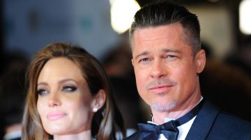 Fotos de los supuestos moretones de Angelina Jolie que le habría causado Brad Pitt han sido reveladas.
