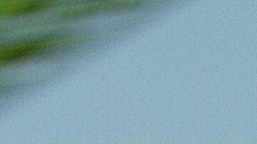 El accidente se registró en la montaña rusa "El Toro".