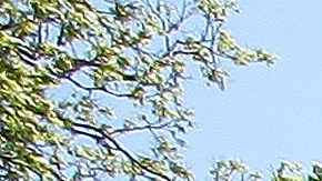 Six Flags Policy To Target Sex Offenders