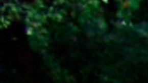 Accidente de Tránsito Michigan Condado de Ionia