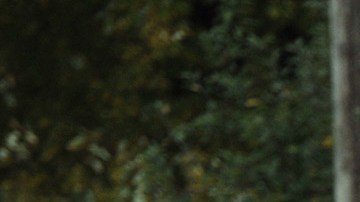 Iowa Asesinato Autopsia