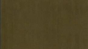 An image grab taken from a video broadca