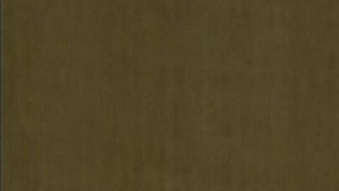 An image grab taken from a video broadca
