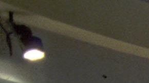 Tiroteo sin víctimas mortales en Mall of America.