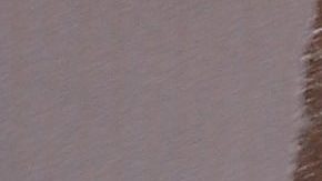 'Chisme No Like' asegura que Luis Miguel no tiene dinero para comprar grandes propiedades