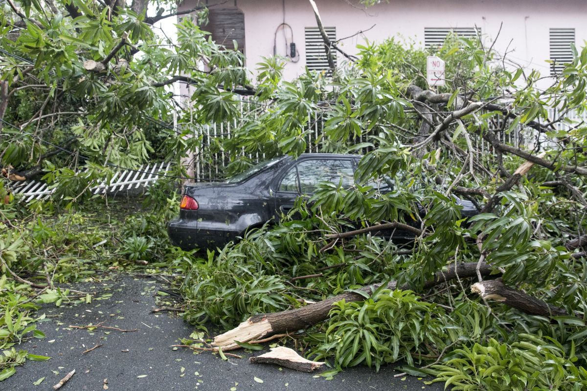 Four New York travellers died in a vehicle accident on the Puerto Rico highway