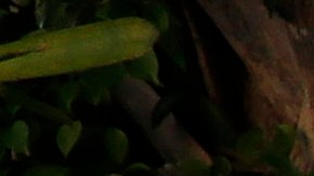 US-CRIME-SCHOOL-SHOOTING