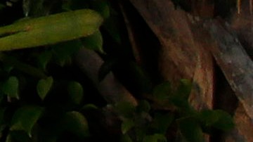 US-CRIME-SCHOOL-SHOOTING