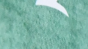 La actriz Eiza González vuelve a encender los rumores de ruptura con Jason Momoa.